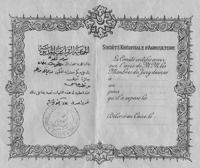 Certificate-Cotton Prize 1905 for grandad