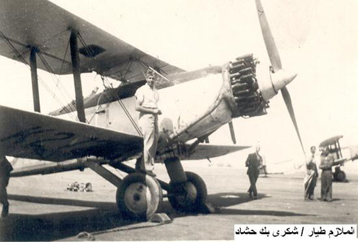 Shoukry Hashad on plane