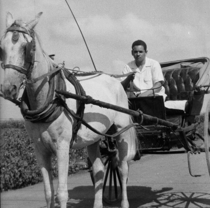 Samir in Buggy