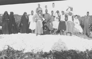 Kasta-Cotton Crop Festivities 1920s